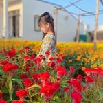 Áo dài bé gái Tết chất lụa cao cấp, thiết kế truyền thống hiện đại, mềm mại thoáng mát, set kèm quần và phụ kiện