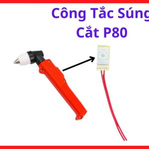 Công Tắc Súng Cắt P80, Công Tắc Tay Cắt Plasma P80, Nút Bấm Súng Plasma, Công Tắc Kích Hồ Quang Máy Cắt Plasma, Phụ Kiện Mỏ Cắt Plasma P80, Linh Kiện Máy Cắt Plasma, Công Tắc Cò Súng Plasma