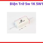 Điện Trở 1K 5W, Resistor 1000 Ohm Công Suất Cao, Điện Trở Sứ Chân Cắm Dùng Cho Sửa Chữa Máy Hàn Inverter, Board Điều Khiển Và Mạch Công Suất Điện Tử,