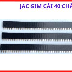 Jắc Ghim Cái 40 Pin Máy Hàn, Đầu Nối Tín Hiệu Chuyên Dùng Trong Hệ Thống Điều Khiển Và Mạch Điện Tử Công Suất, linh kiện máy hàn.