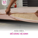 Nệm Cao Su Thiên Nhiên Thắng Lợi SiSi Advance, chất liệu thiên nhiên, độ bền cao, kháng khuẩn, thoáng khí, bảo hành chính hãng, thiết kế hiện đại, phù hợp phòng ngủ sang trọng, nâng cao giấc ngủ sâu, giảm áp lực cơ thể, hỗ trợ sức khỏe lâu dài