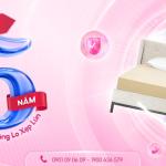 Nệm SuSu Original 100% Cao Su Thiên Nhiên Thắng Lợi, đàn hồi vượt trội, bảo hành chính hãng 15 năm, thoáng khí, kháng khuẩn tự nhiên, giấc ngủ ngon, bền bỉ, phù hợp người già, trẻ nhỏ, nhân viên văn phòng.