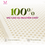 Nệm Thắng Lợi TiTi Cao Su Thiên Nhiên, Double Function, công nghệ tiên tiến, loại bỏ mùi cao su, hương vanilla dễ chịu, kháng khuẩn, thoáng mát, bảo hành 15 năm, giấc ngủ thư giãn.
