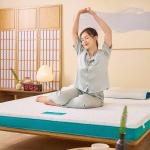 Nệm Aeroflow Standard Nhật Bản, Foam Mixel Cube sáng chế độc quyền, nâng đỡ cơ thể, giảm áp lực, áo nệm đa tầng thoáng khí, khóa kéo tiện lợi, chứng nhận quốc tế, giấc ngủ sâu, an toàn tuyệt đối cho sức khỏe