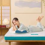 Nệm Aeroflow Standard Nhật Bản, Foam Mixel Cube sáng chế độc quyền, nâng đỡ cơ thể, giảm áp lực, áo nệm đa tầng thoáng khí, khóa kéo tiện lợi, chứng nhận quốc tế, giấc ngủ sâu, an toàn tuyệt đối cho sức khỏe