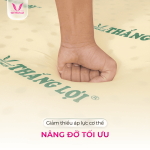 Nệm Cao Su Non Thắng Lợi Cao Cấp, Đàn Hồi Vượt Trội, Thoáng Mát Kháng Khuẩn, Hỗ Trợ Cột Sống Tối Ưu, Giảm Áp Lực Cơ Thể, Lý Tưởng Cho Người Đau Lưng Xương Khớp, Phù Hợp Gia Đình Việt, Bảo Hành Dài Hạn 15 Năm, Quà Tặng Giá Trị Cao, Miễn Phí Vận Chuyển