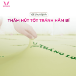 Nệm Cao Su Non Thắng Lợi Cao Cấp, Đàn Hồi Vượt Trội, Thoáng Mát Kháng Khuẩn, Hỗ Trợ Cột Sống Tối Ưu, Giảm Áp Lực Cơ Thể, Lý Tưởng Cho Người Đau Lưng Xương Khớp, Phù Hợp Gia Đình Việt, Bảo Hành Dài Hạn 15 Năm, Quà Tặng Giá Trị Cao, Miễn Phí Vận Chuyển