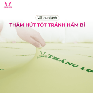 Nệm Cao Su Non Thắng Lợi Hỗ Trợ Sức Khỏe, Êm Ái Thoáng Khí Giảm Áp Lực, Hàng Trăm Lỗ Thông Hơi Thông Minh, Hoàn Hảo Cho Người Đau Xương Khớp Trẻ Em, Bảo Hành 15 Năm