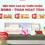 Nệm Thắng Lợi BoBo, cao su thiên nhiên nguyên khối, than hoạt tính khử mùi, thoáng khí, đàn hồi tốt, bảo hành chính hãng, giấc ngủ thoải mái, phù hợp mọi độ tuổi, chất lượng vượt trội
