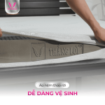 Nệm Thắng Lợi BoBo, cao su thiên nhiên nguyên khối, than hoạt tính khử mùi, thoáng khí, đàn hồi tốt, bảo hành chính hãng, giấc ngủ thoải mái, phù hợp mọi độ tuổi, chất lượng vượt trội