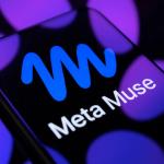 Doanh nghiệp chưa thể tự lưu trữ Muse Wonder trên hạ tầng riêng